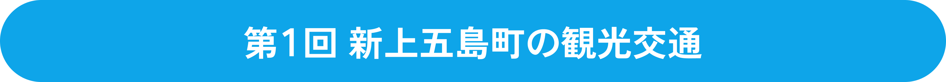 1.観光振興につながる新モビリティサービス